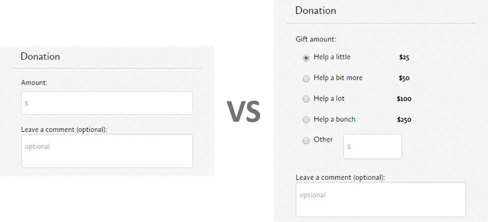 Example of Online Fundraising Forms