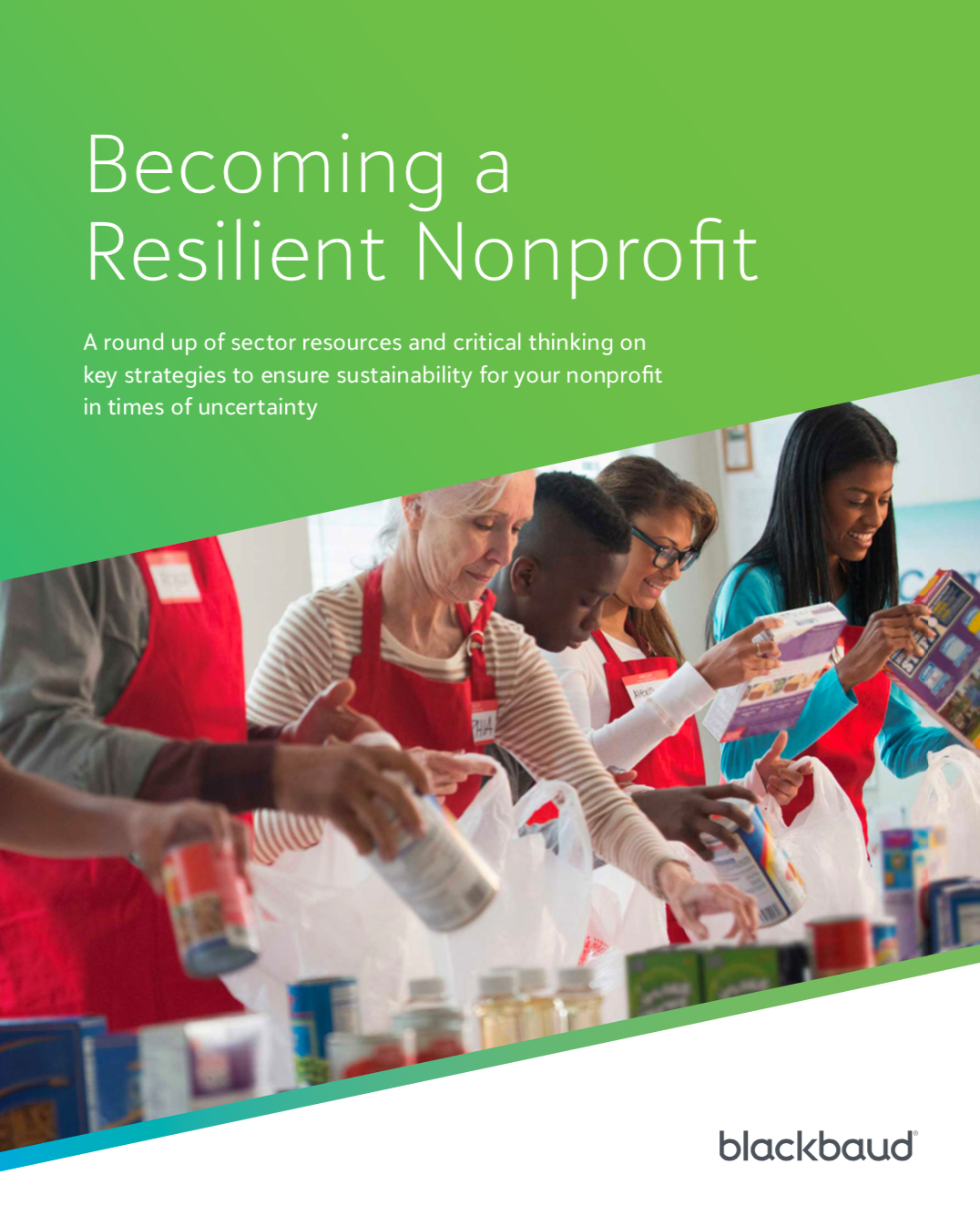 Becoming a Resilient Nonprofit eBook